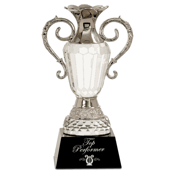 10" Crystal Cup with Silver Metal Handles on Black Pedestal Base