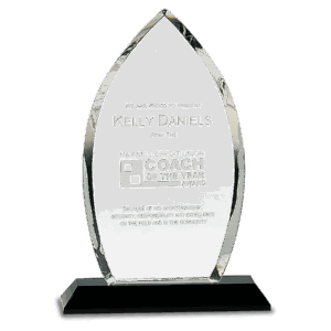 9 1/2" Clear Crystal Oval on Black Pedestal Base
