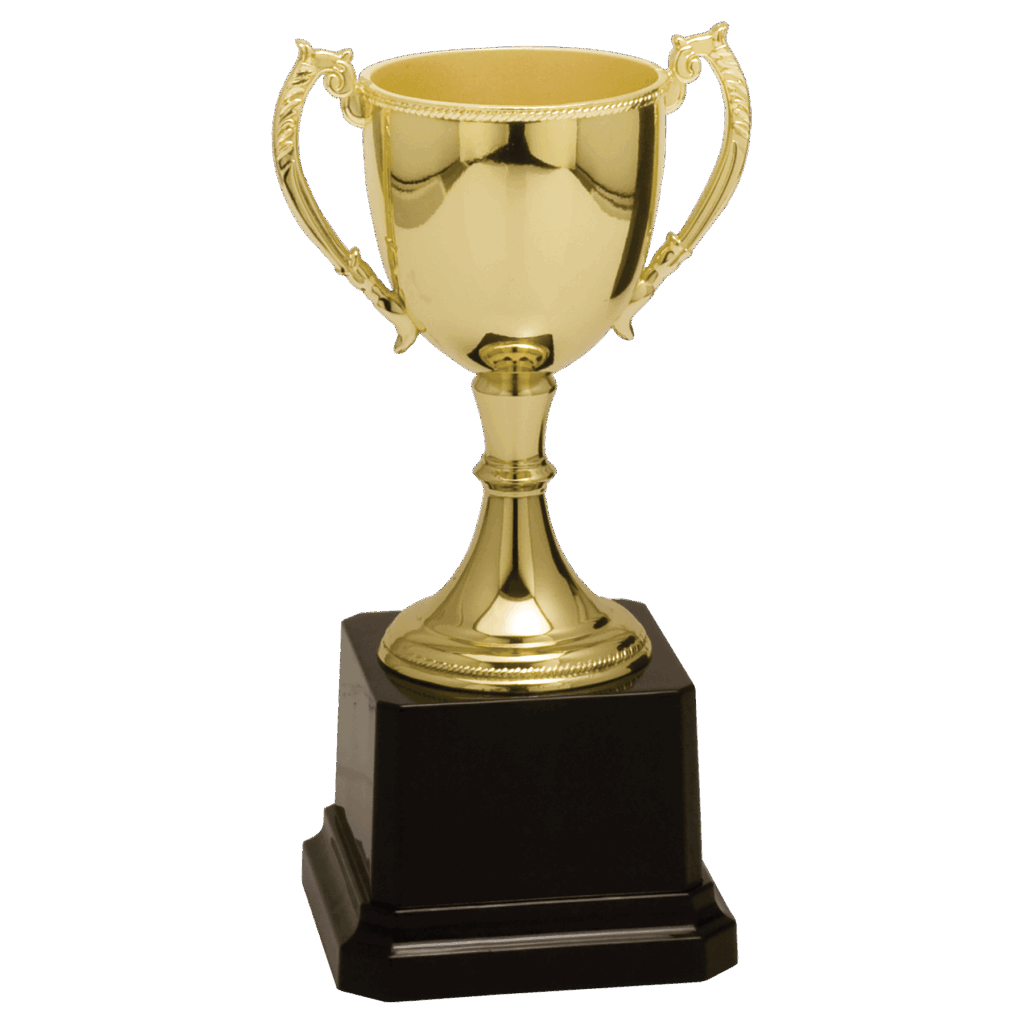 6 3/4" Gold Completed Zinc Cup Trophy