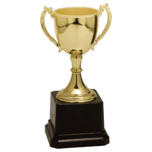 6 3/4" Gold Completed Zinc Cup Trophy