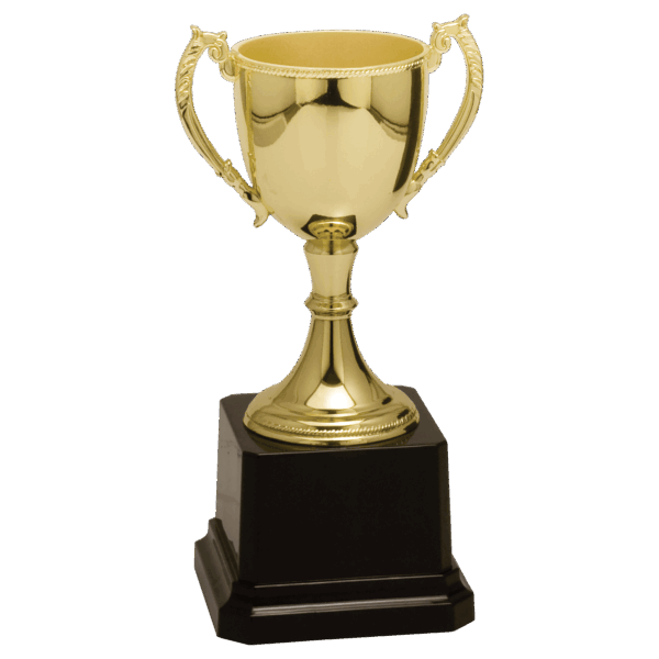 6 3/4" Gold Completed Zinc Cup Trophy