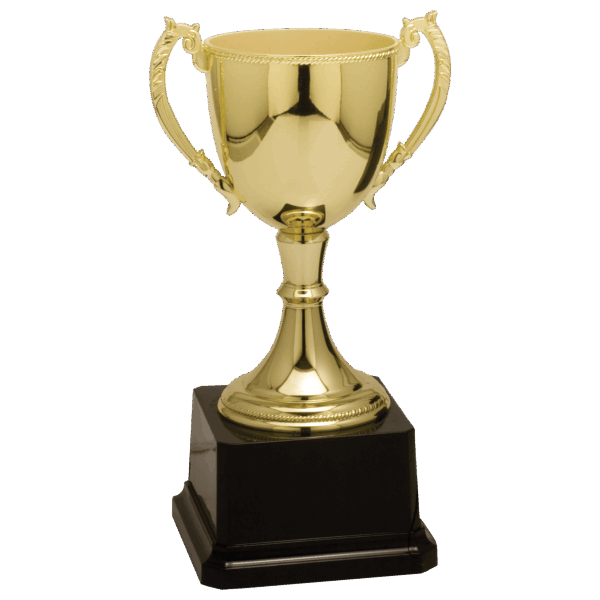 8 3/4" Gold Completed Zinc Cup Trophy