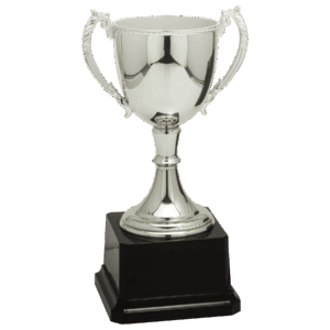 8 3/4" Silver Completed Zinc Cup Trophy