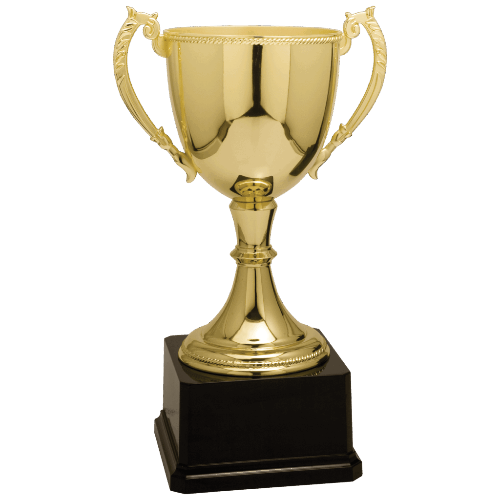 11" Gold Completed Zinc Cup Trophy