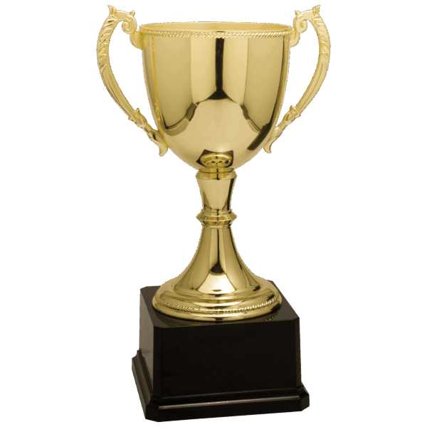 11" Gold Completed Zinc Cup Trophy