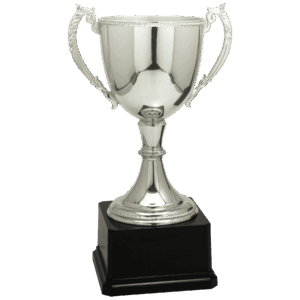 11" Silver Completed Zinc Cup Trophy