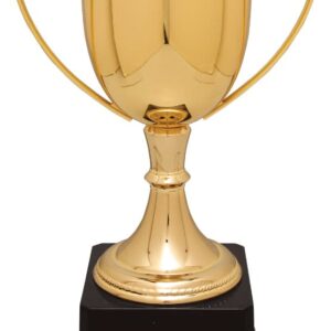 10 1/2" Gold Completed Zinc Cup Trophy on Plastic Base