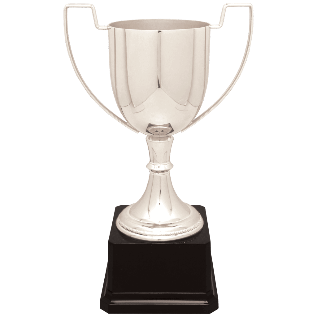 10 1/2" Silver Completed Zinc Cup Trophy on Plastic Base