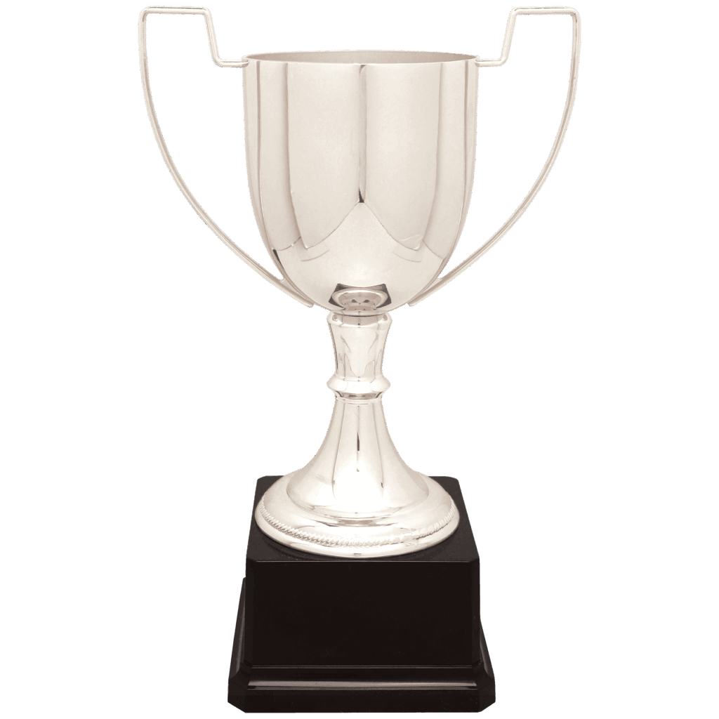11 3/4" Silver Completed Zinc Cup Trophy on Plastic Base