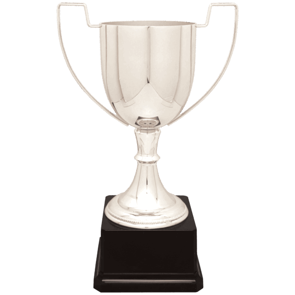 11 3/4" Silver Completed Zinc Cup Trophy on Plastic Base