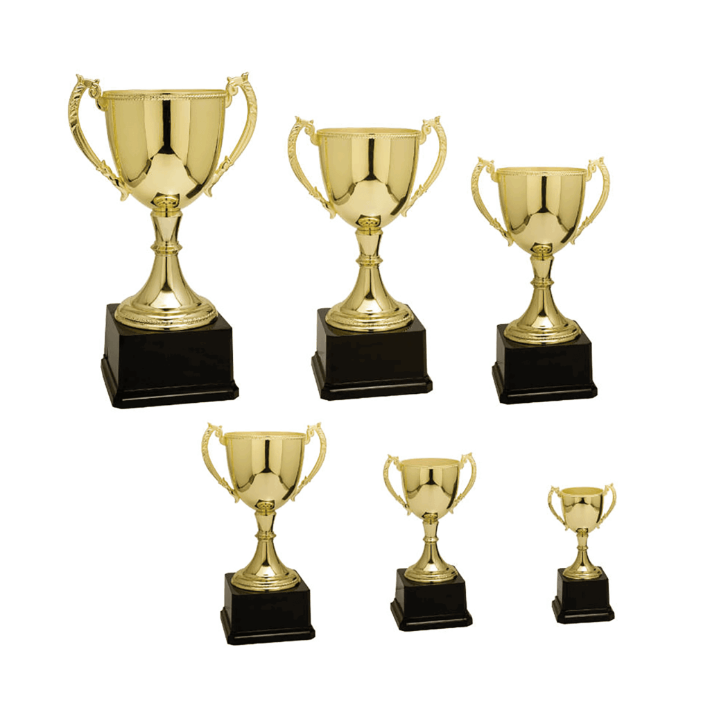 Gold Completed Zinc Cup Trophy Sample Set