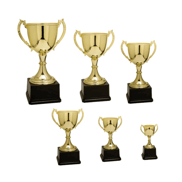 Gold Completed Zinc Cup Trophy Sample Set