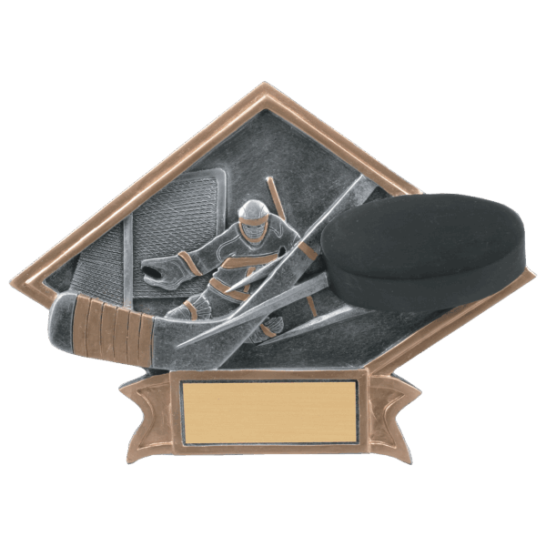 8 1/2" x 6" Hockey Diamond Plate Resin