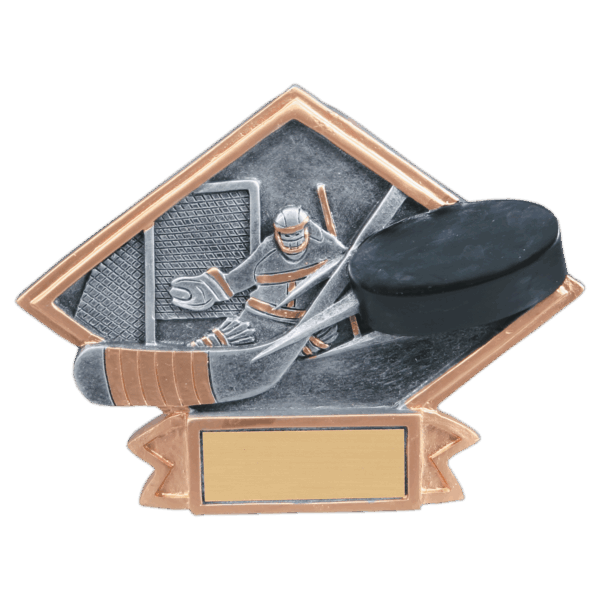 6" x 4 1/2" Hockey Diamond Plate Resin