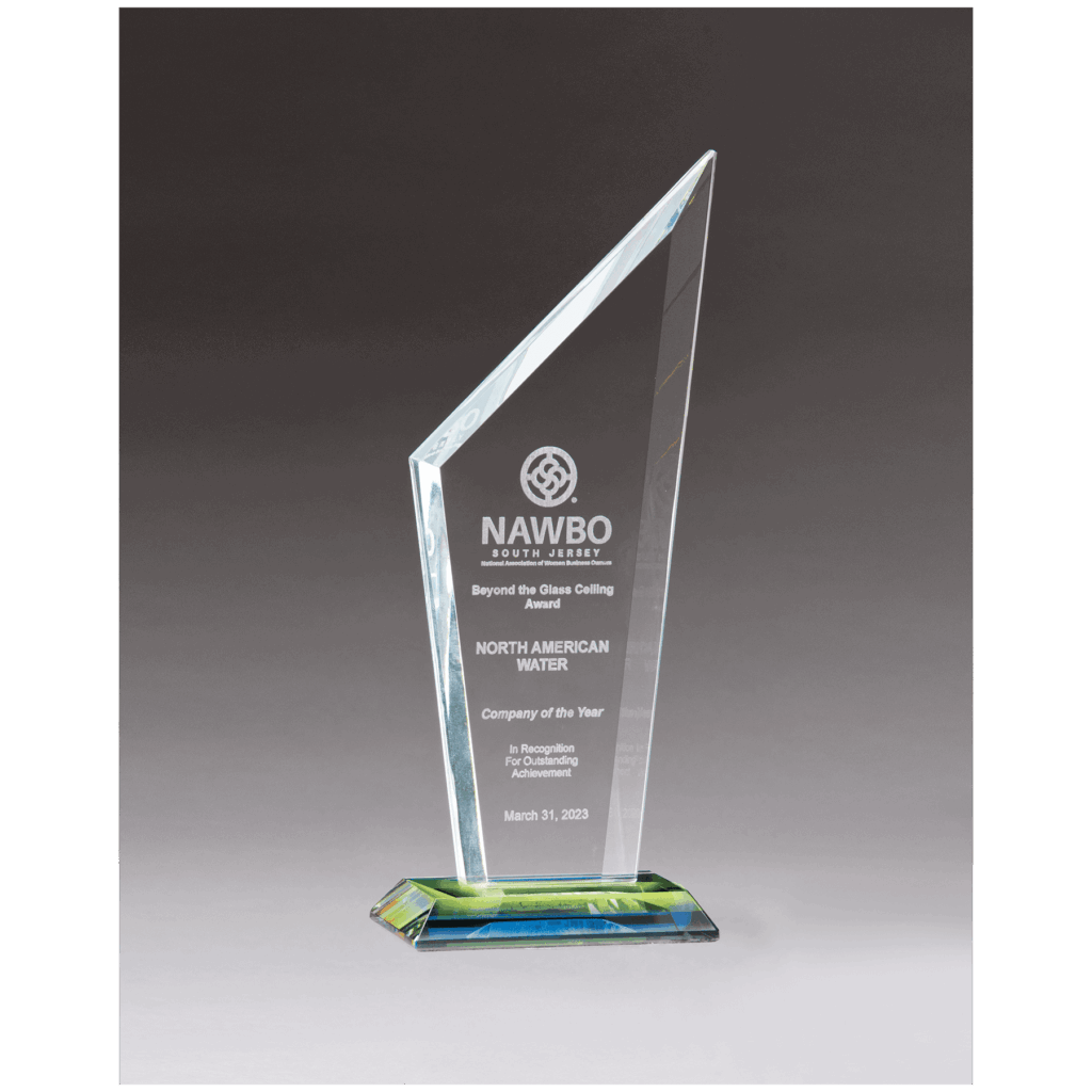 3 5/8" x 9 5/8" x 3/8" Thick Zenith Series Clear Glass with Prism-Effect Base