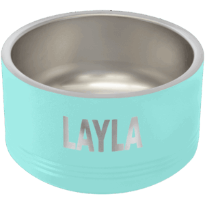 Polar Camel 18 oz. Small Teal Pet Bowl