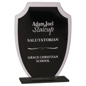 7 1/4" Black Shield Reflection Glass Award