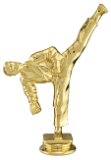 6" Male Tae Kwon Do Figure