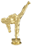 6" Female Tae Kwon Do Figure