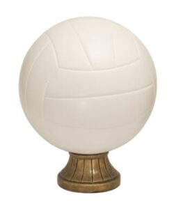 5 1/2" Color Volleyball Resin
