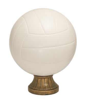 5 1/2" Color Volleyball Resin