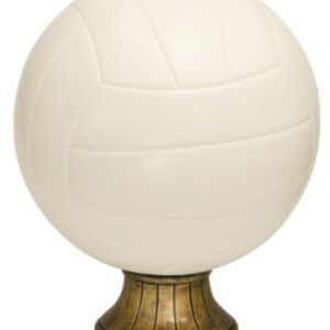 10 1/2" Color Volleyball Resin