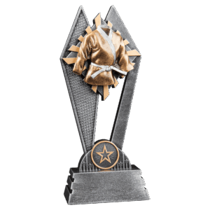 8" Martial Arts Sun Ray Award