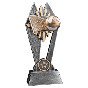 8" Volleyball Sun Ray Award