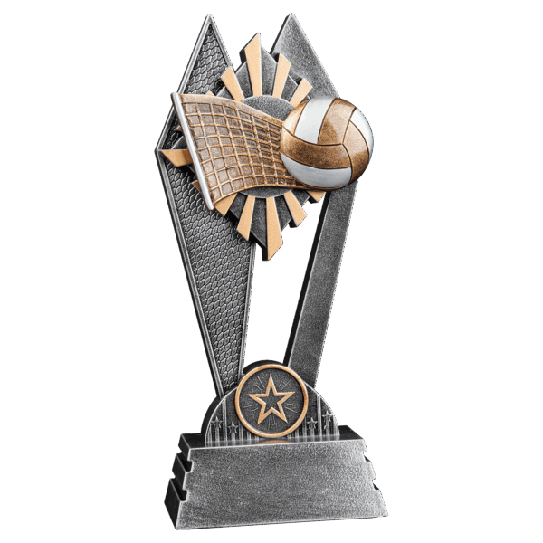 8" Volleyball Sun Ray Award