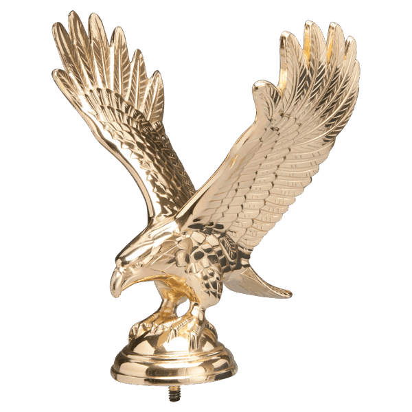7 1/4" Brass Plated Large Eagle with Stud