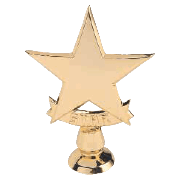 5 1/2" Gold 5 Point Star Casting with Stud